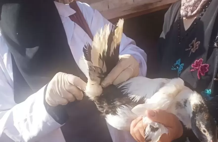 خط أحمر