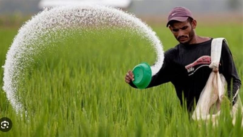 قاعدة بيانات.. الزراعة: نعمل على ضمان وصول الأسمدة للمستحق الحقيقي