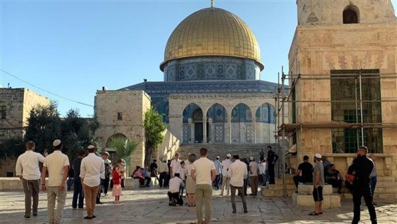 طارق فهمي: يجب على كل الدول العربية التوحد لمواجهة المخطط الإسرائيلي لتهويد القدس