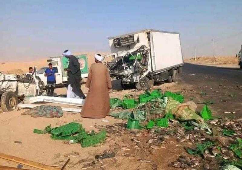 مصرع شابين في حادث تصادم سيارتين محملتين بالأدوية والأسماك بصحراوى إسنا