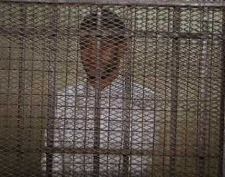 الجنايات تحيل قاتل الطفلة السودانية ”جانيت” للمفتى لابداء الرأى فى إعدامه