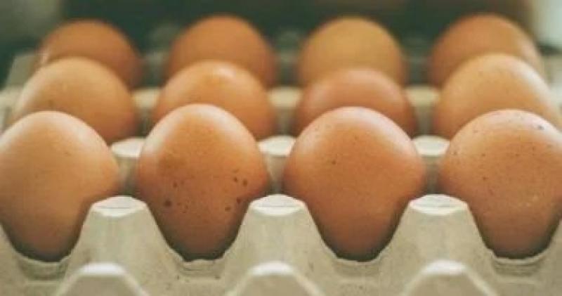 6 أخطاء تجنبيها فى التعامل مع البيض عشان سندوتشات المدرسة