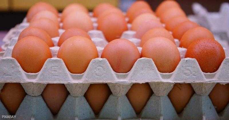 بعد ضربة الرقابة للمتلاعبين.. كرتونة البيض تتراجع 5 جنيهات بالأسواق