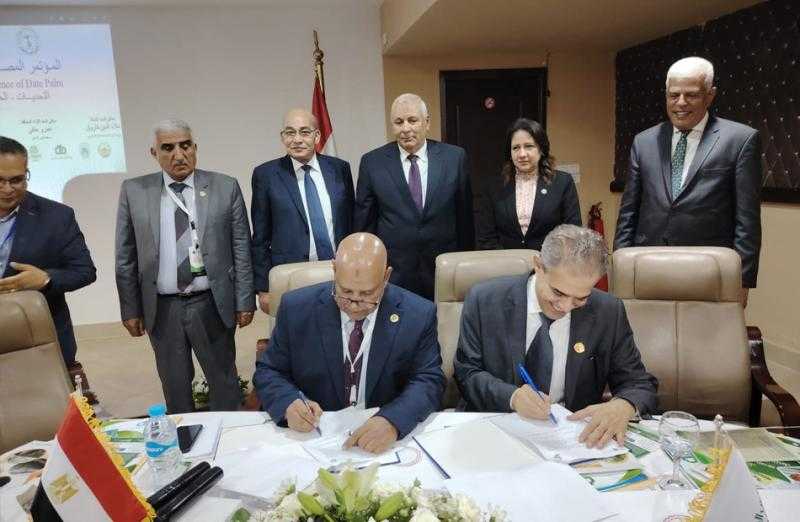 نقيب الزراعيين يُطالب بإطلاق أول يوم وطني للتمور في مصر للنهوض بزراعة النخيل|صور