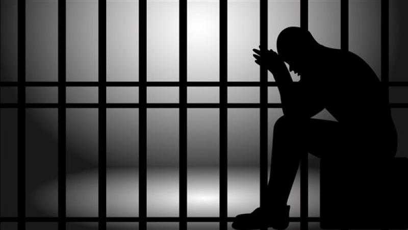 عضو لجنة العفو الرئاسي عن تفعيل بدائل عقوبة الحبس البسيط: خطوة مقدرة