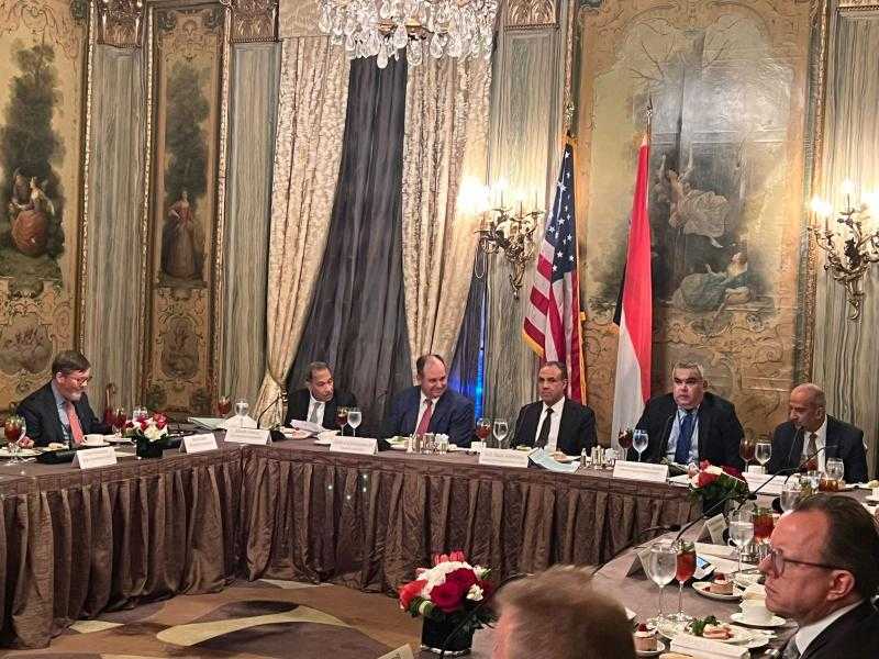 وزير الخارجية: مصر تواصل مساعيها من أجل حشد الدعم لحقوق الفلسطينيين المشروعة
