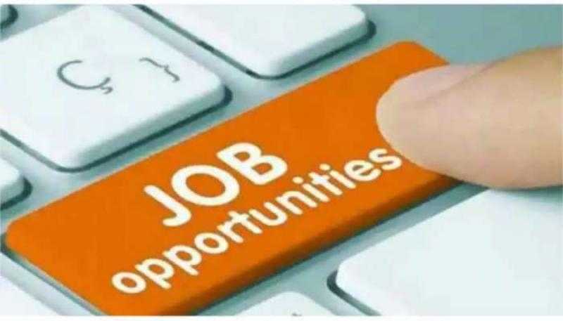 وظائف خالية في البنك العربى الافريقى الدولى.. تفاصيل ومتطلبات التقديم