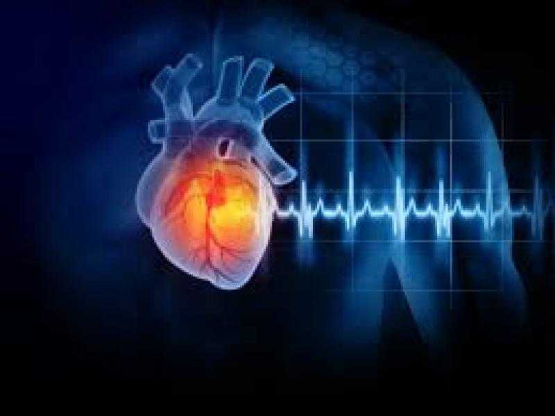 اعرف كيف يؤثر التوتر على القلب ويساوى تناول الأطعمة غير الصحية الضارة