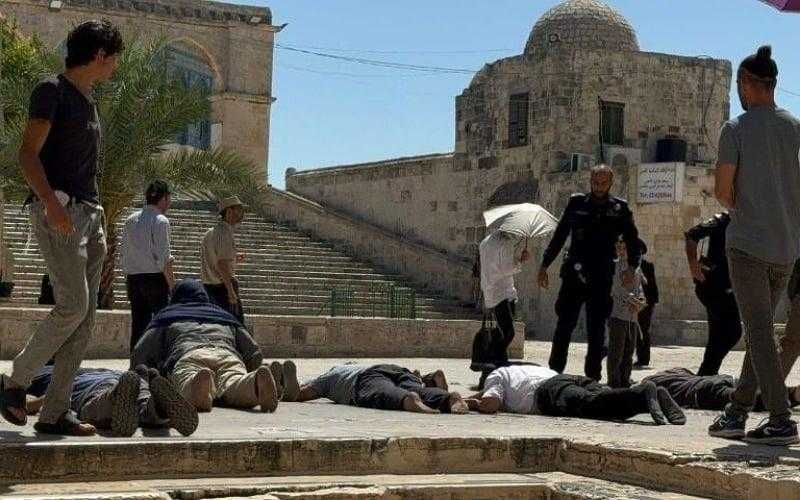 مستوطنون يقتحمون باحات المسجد الأقصى ويأدون طقوس ”السجود الملحمي” تحت حماية قوات الاحتلال