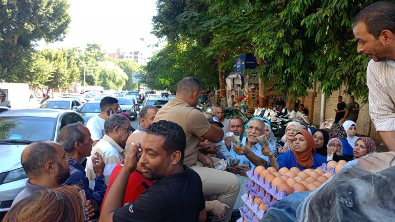 الزراعة تطلق منافذ متحركة لبيع بيض المائدة بـ 150 جنيهًا للكرتونة