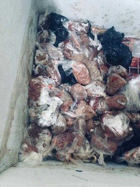 ضبط 35 طن أجزاء دواجن مجهولة المصدر وتحرير 243 محضر مخالفات بالإسماعيلية