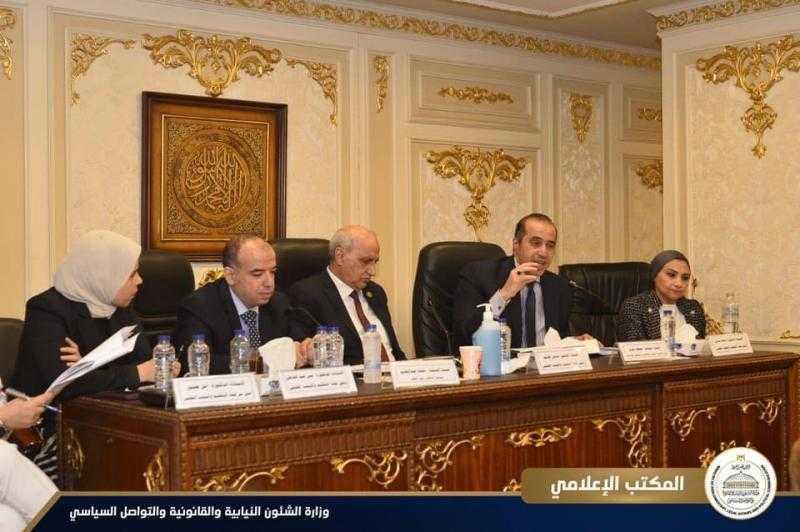 المستشار محمود فوزي يشارك في مناقشة مشروع قانون إنشاء المجلس الوطني للتعليم والبحث والابتكار بمجلس النواب