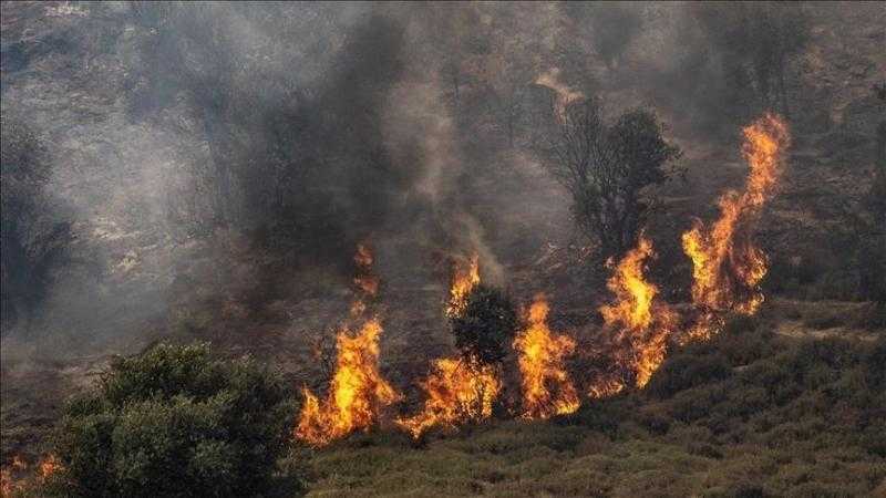 استشهاد رئيس بلدية النبطية في غارة إسرائيلية على جنوب لبنان