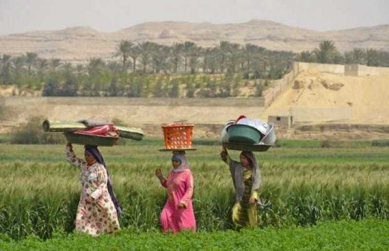 في اليوم العالمي للمرأة الريفية.. «معلومات الوزراء» يحتفي بالريفيات المصريات (فيديو)