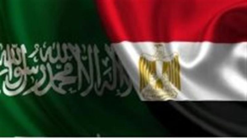 جميل عفيفي: تطابق وجهات النظر المصرية والسعودية في كل قضايا المنطقة