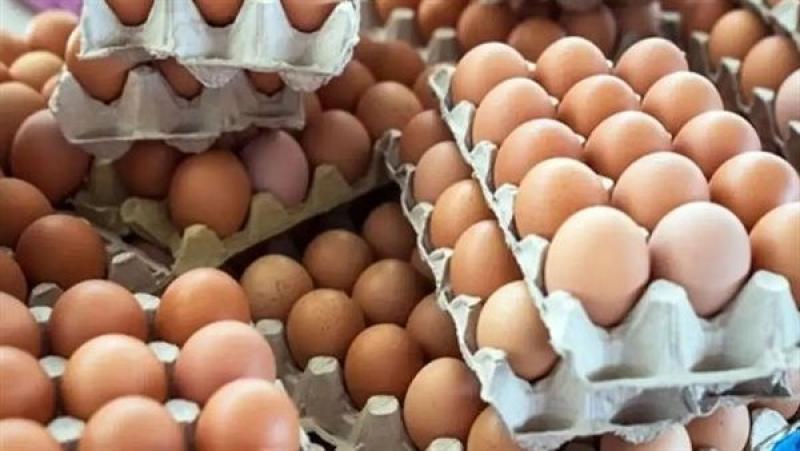 اتحاد منتجي الدواجن: البيض سعلة لا تقبل التخزين ولا يوجد فيها احتكار
