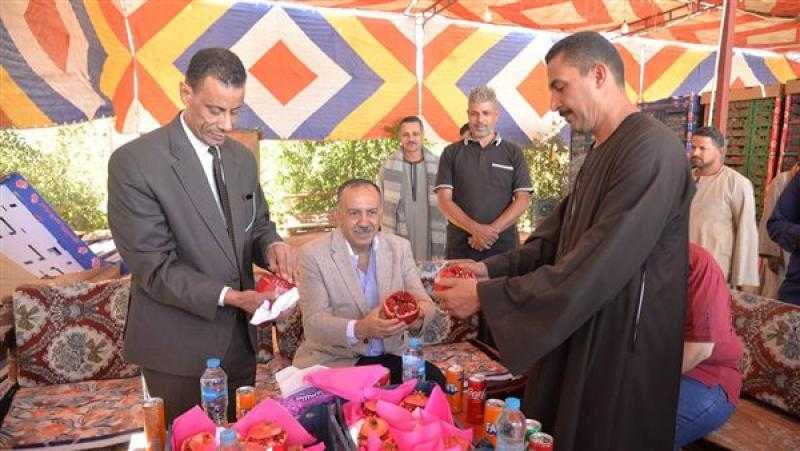 محافظ أسيوط يشهد حصاد محصول الرمان بقرية بويط بمركز ساحل سليم
