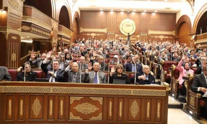 عضو بـ”الشيوخ”: المخاطر تحيط بالدولة المصرية من كل الاتجاهات