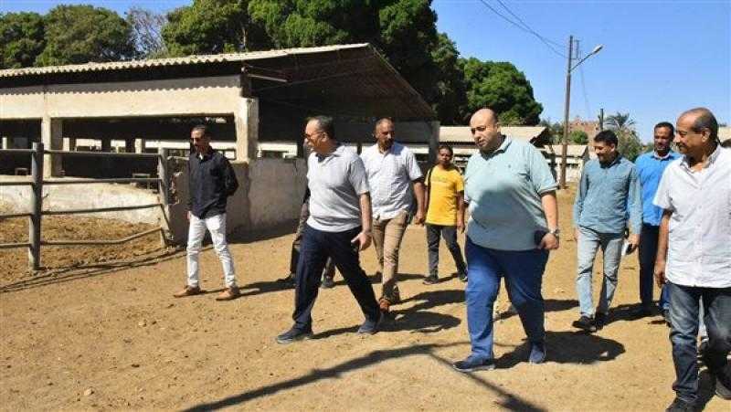 محافظ أسيوط يتابع أعمال تطوير محطة الثروة الحيوانية بقرية الحمام بمركز أبنوب