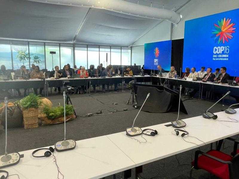 خلال COP16.. وزيرة البيئة تجتمع مع المجموعة الإفريقية لتوحيد الرؤى للخروج بقرارات منصفة للقارة