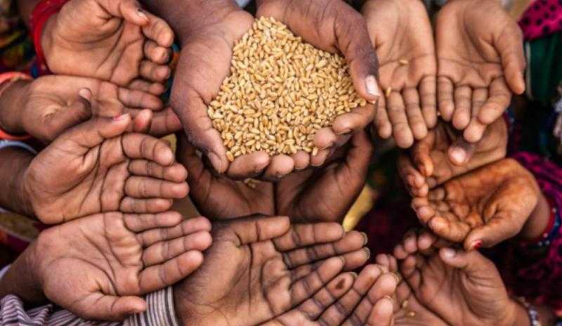 التحديات التي يواجهها النظام الغذائي العالمي ومعوقات أهداف التنمية المستدامة في محاصرة الجوع
