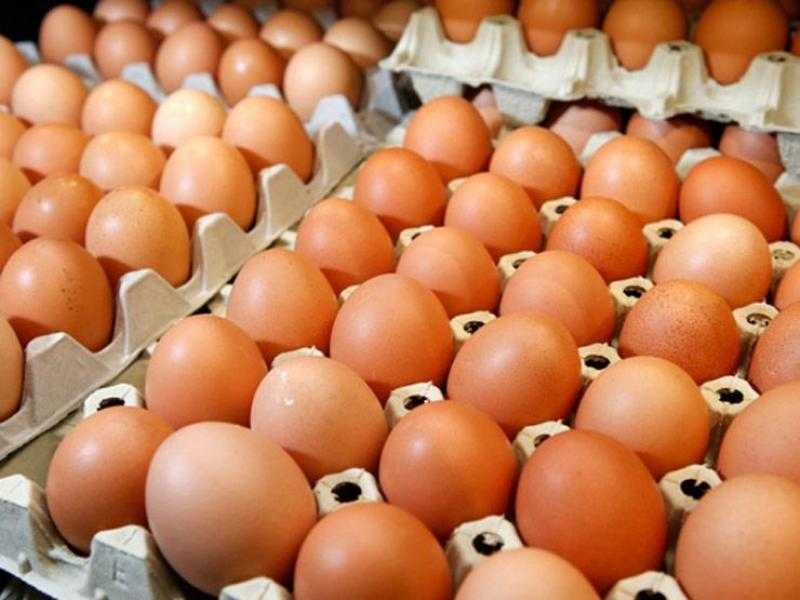 ”الصناعات الغذائية”: استمرار ضخ بيض المائدة بالمجمعات الاستهلاكية بسعر مخفض