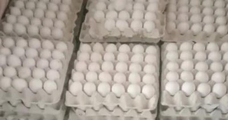 وزارة التموين تستمر فى ضخ بيض المائدة بمنافذ المجمعات الاستهلاكية