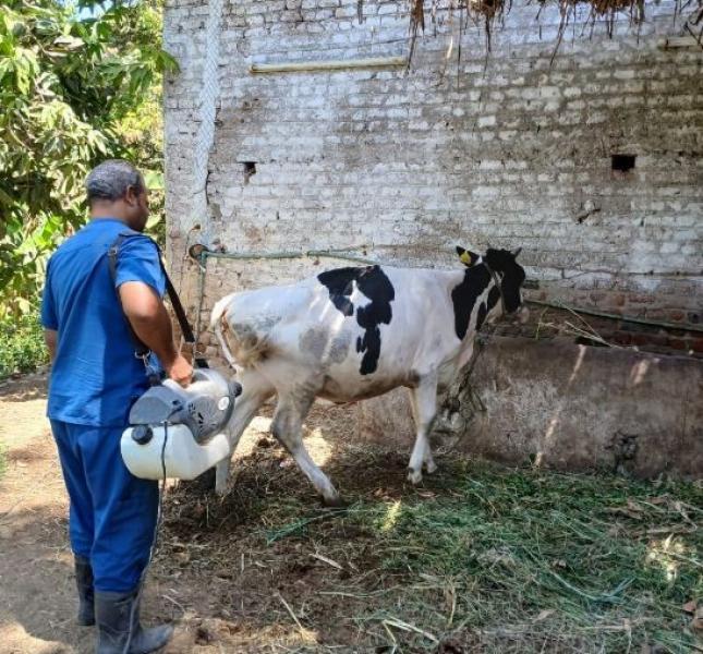 بيطري الأقصر تنظم قوافل توعوية للمواطنين عن التربية المنزلية والذبح