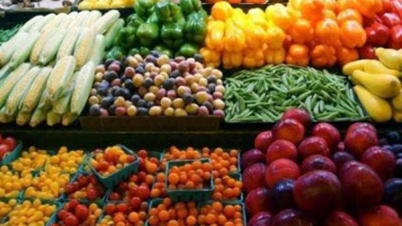 الزراعة: لا صحة لانتشار الآفات بالمحاصيل.. والأجواء مناسبة لزراعة القمح