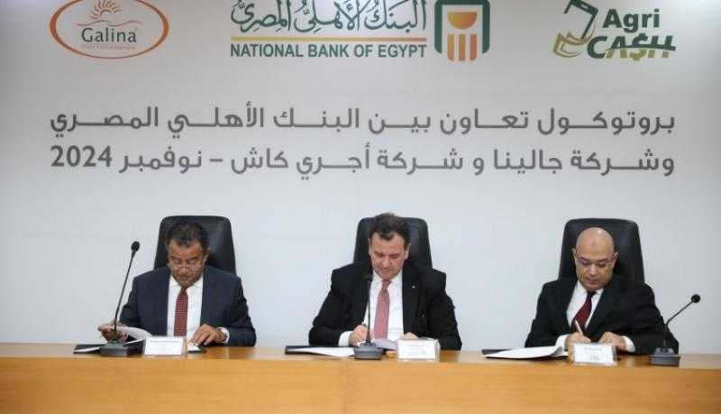عماد فرج: البنك الأهلي المصري يوفر آليات تمويل مختلفة تلبي احتياجات كافة مشروعات وقطاعات النشاط الاقتصادي