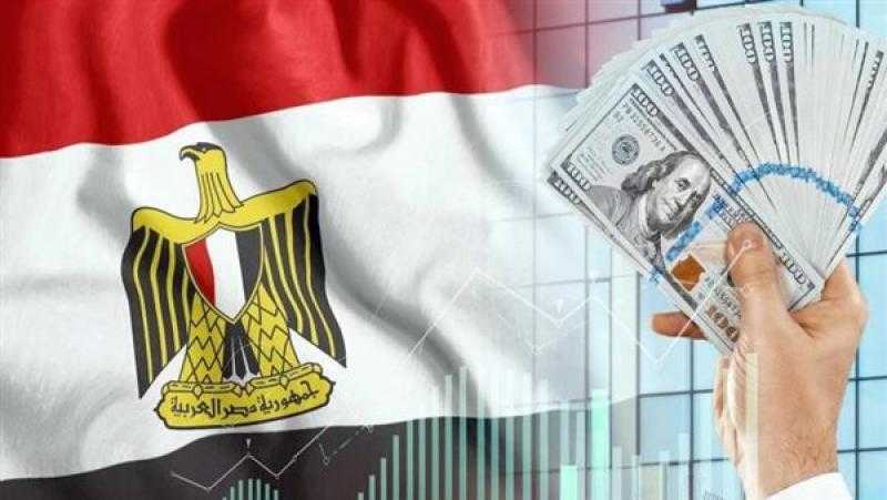 خبير: الحكومة ستعمل على خلق فرصة أكبر للقطاع الخاص لتحفيز عملية الصرف وجذب الاستثمار