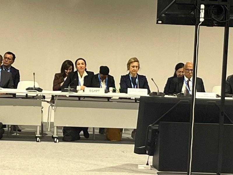 وزيرة البيئة: التكيف جزء مهم من الاستجابة العالمية لتغير المناخ وأولوية قصوى للدول النامية وخاصة الإفريقية