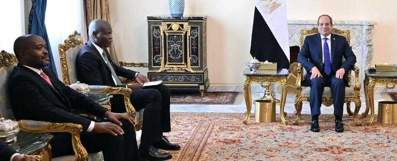 الرئيس السيسي يستقبل وزير العلاقات الدولية بجنوب إفريقيا.. يستعرضان مساعي وقف إطلاق النار بالمنطقة