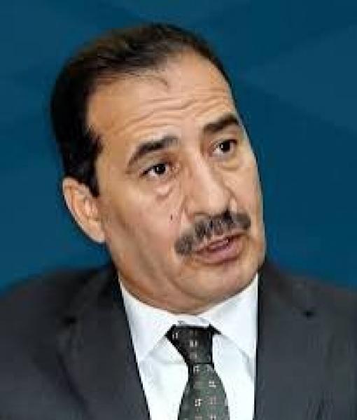 المصري للشئون الخارجية: الدولة تقوم بدور عظيم للحفاظ على كرامة المواطنين بالخارج