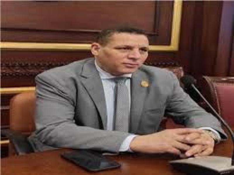 احمد محسن: مشاركة مصر في قمة العشرين يؤكد تقدير العالم لجهودها ودورها المحوري والإقليمي سياسيا واقتصاديا