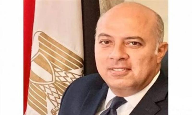 السفير محمد الشناوي