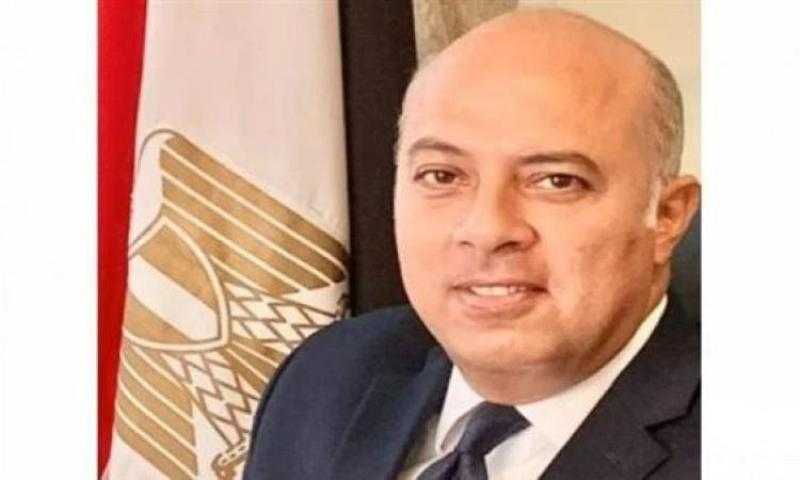 السفير محمد الشناوي متحدثا رسميا لرئاسة الجمهورية