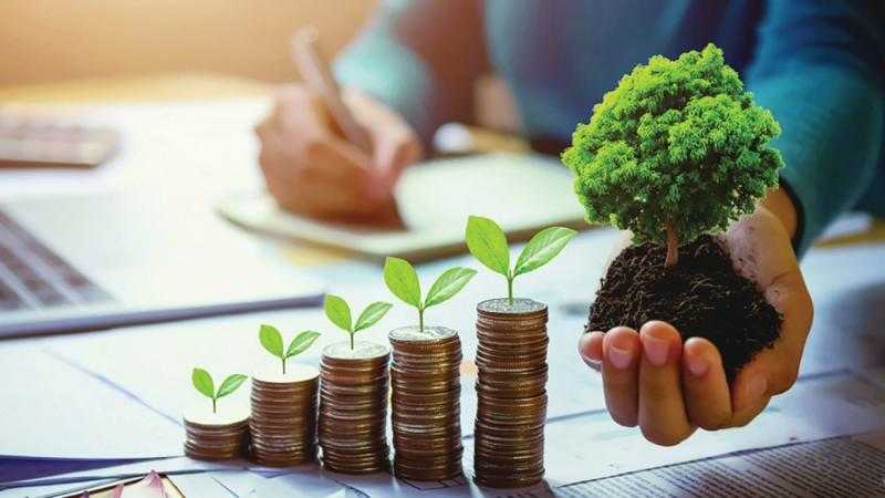 معلومات الوزراء: 60% من البنوك في الاقتصادات النامية لا تخصص سوى أقل من 5% للمشاريع المتعلقة بالمناخ