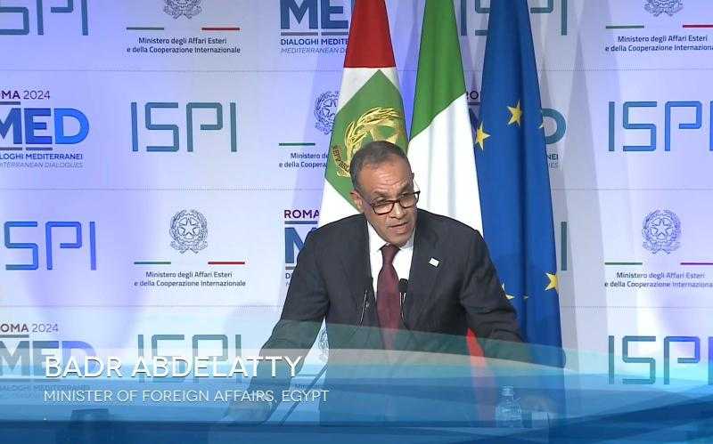 وزير الخارجية يُعلن استضافة مصر مؤتمرًا وزاريًّا لتعزيز الاستجابة الإنسانية في غزة