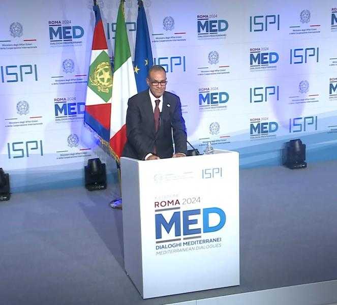 وزير الخارجية: مصر ملتزمة بمكافحة الهجرة غير الشرعية في إطار نهج شامل