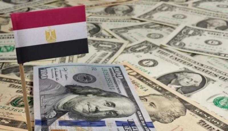 البنوك المصرية تتلقى 6.1 مليار دولار ودائع بالعملة الأجنبية في 10 أشهر