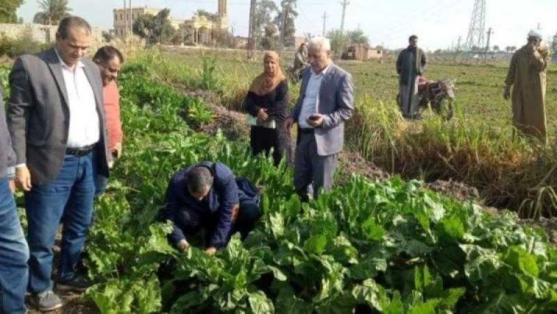 زراعة الشرقية تنظم ندوات إرشادية ومرور ميداني على الحقول الزراعية