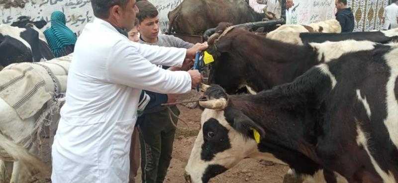 بيطري المنوفية: علاج 220 ألف حيوان ضمن مبادرة بداية آخر 100 يوم