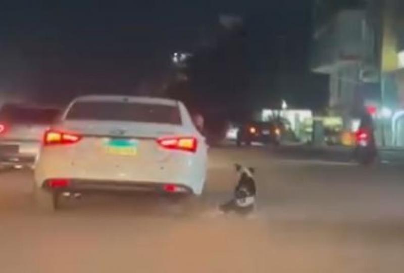فيديو متداول يقود الأمن لضبط شخصين لربط كلب وسحبه بالسيارة في الجيزة