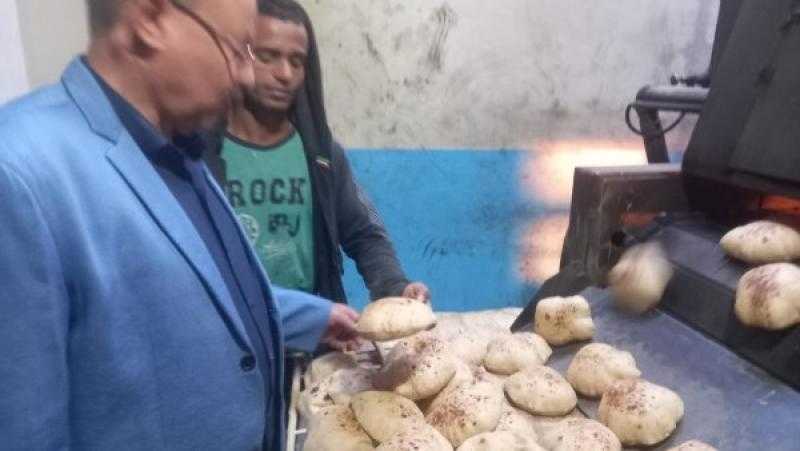 محافظ أسيوط: ضبط 43 شيكارة دقيق بلدي مدعم قبل البيع بالسوق السوداء