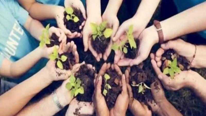 أستاذ علم اجتماع: العمل التطوعي يساهم في تحقيق التنمية المستدامة