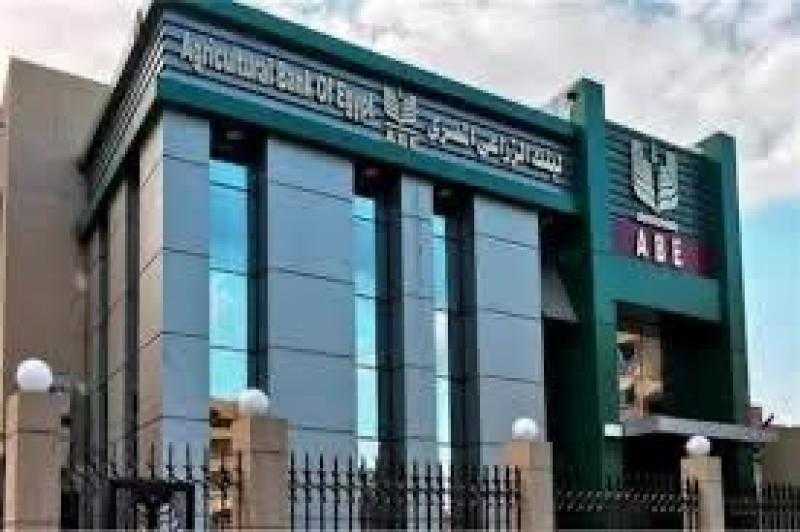 البنك الزراعي: حريصون على تحسين معيشة المزارع وتسويق محصوله بسعر عادل