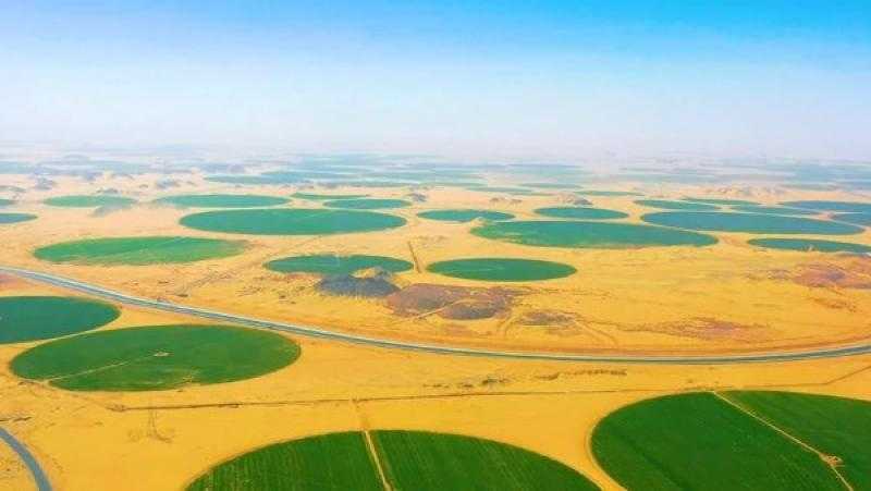 أبو اليزيد: «توشكى الخير» مشروع قومي عملاق للمحاصيل الاستراتيجية