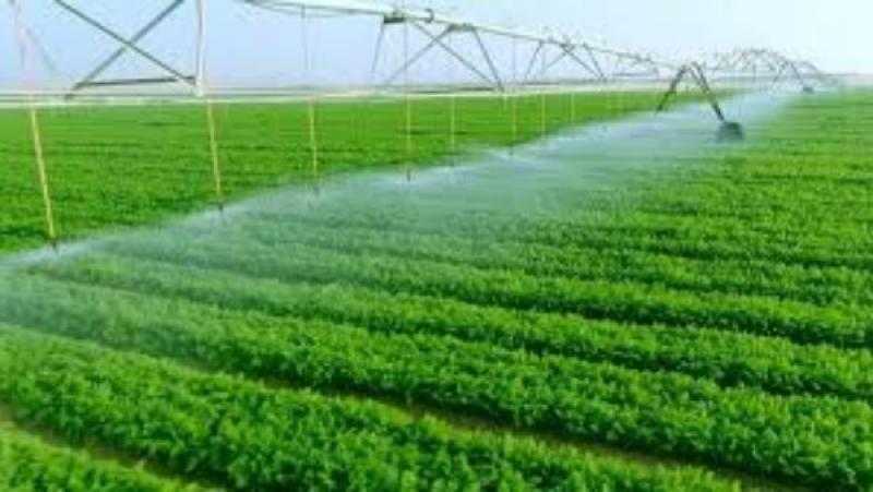 استشاري تنمية مستدامة: الاستثمار الزراعي يحتاج القطاع الخاص