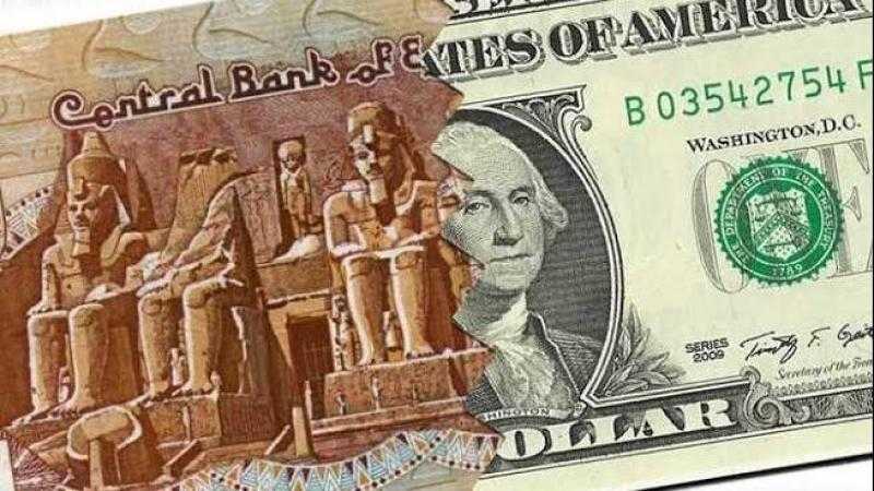 بعد تراجعه أمام الدولار.. خبير: الجنيه عامل أداء مميز مقابل اليورو
